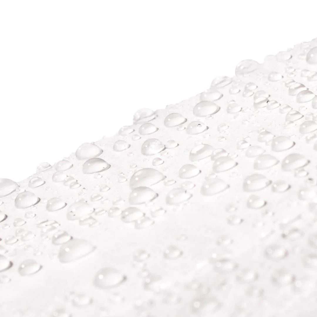 The Protector - Image 4