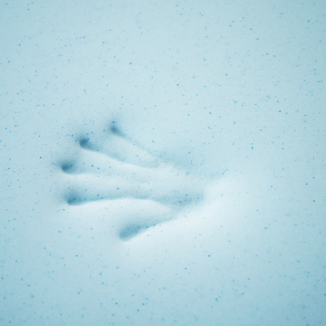 The Topper - Image 7